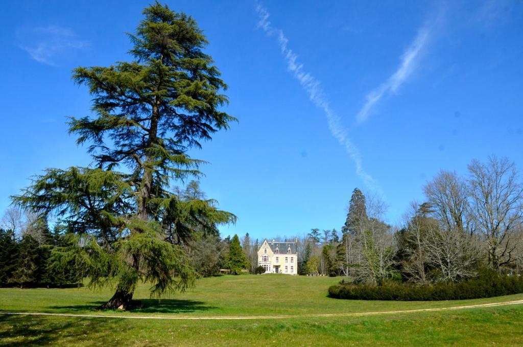 Chateau La Thuiliere Saint-Front-de-Pradoux Exterior photo