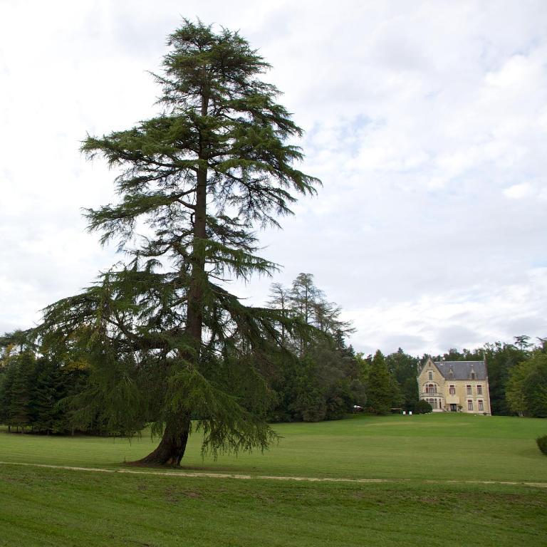 Chateau La Thuiliere Saint-Front-de-Pradoux Exterior photo